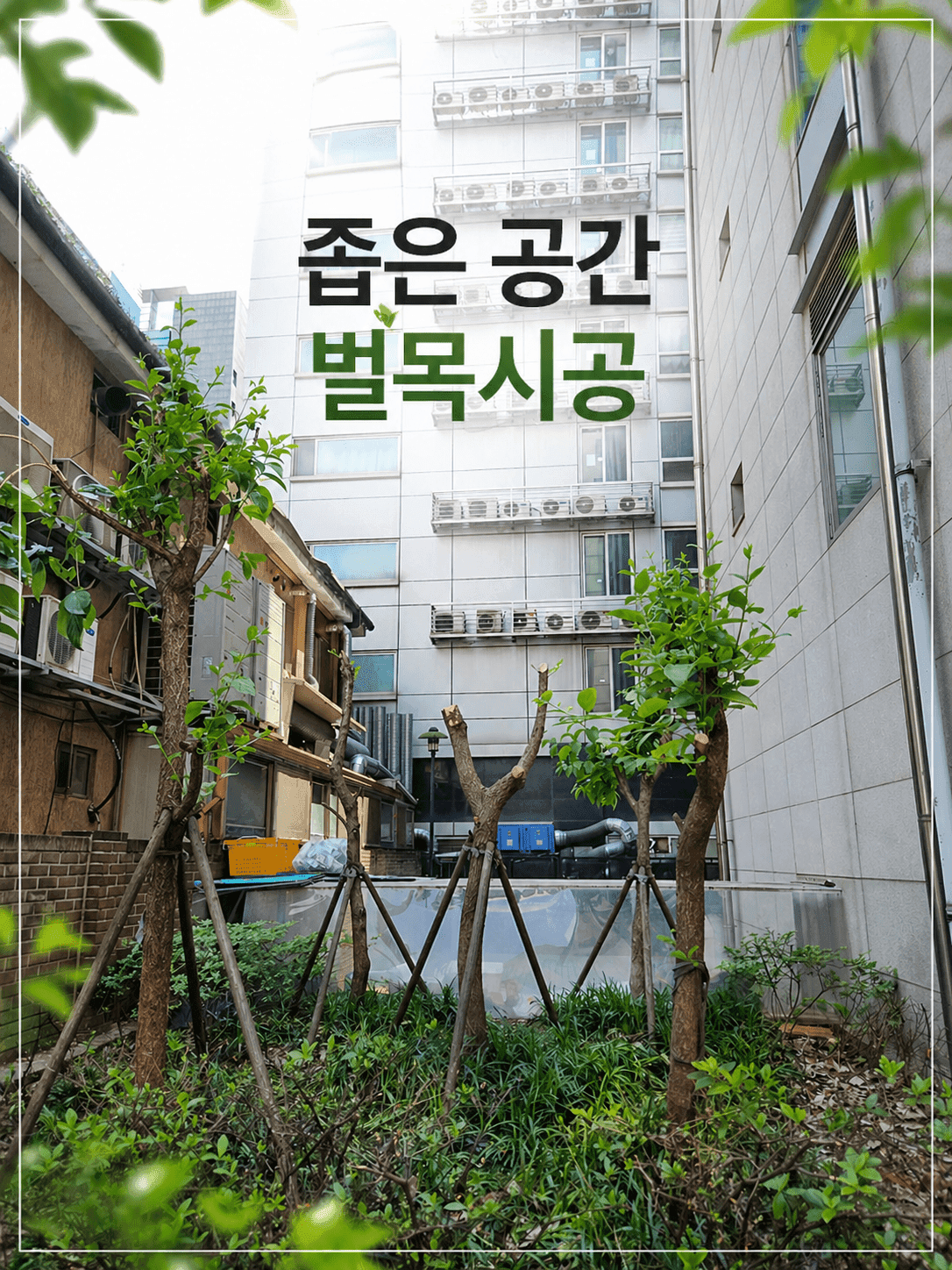 고쳐줘 홈닥터 벌목 및 수목 제거 작업 현장